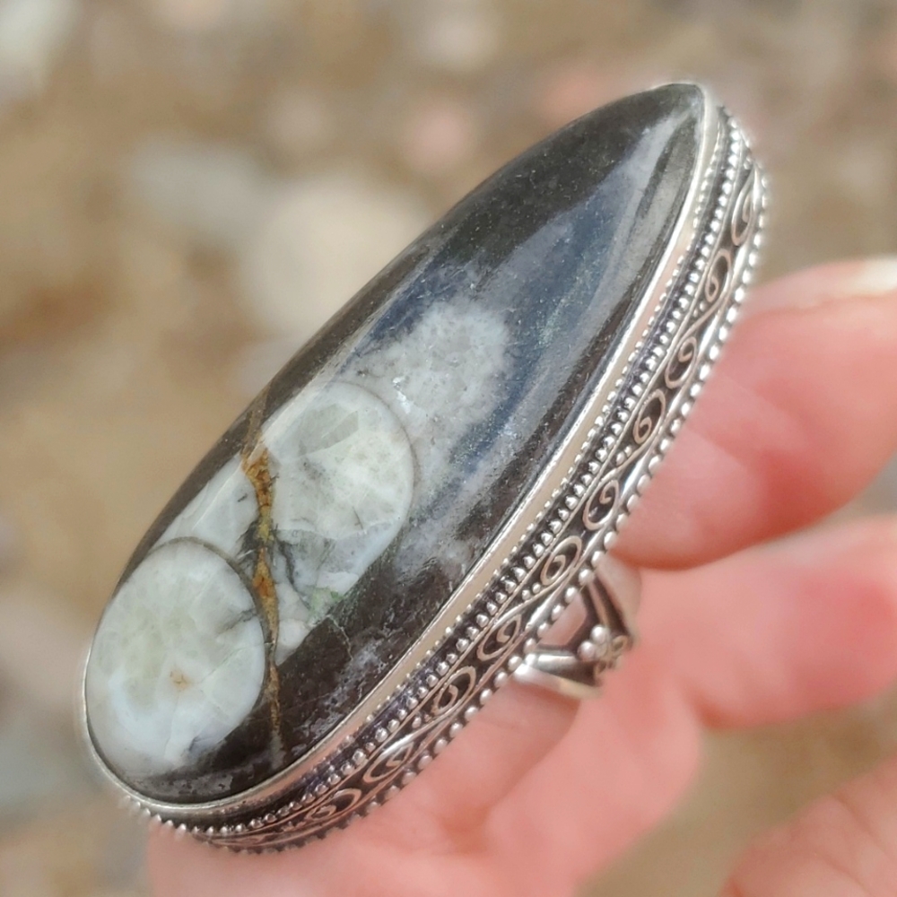 New Oversized Orthoceras Fossil Antique Design 925 Silver Statement Ring.